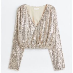 H&M Sequin V-Neck Long Sleeve Top